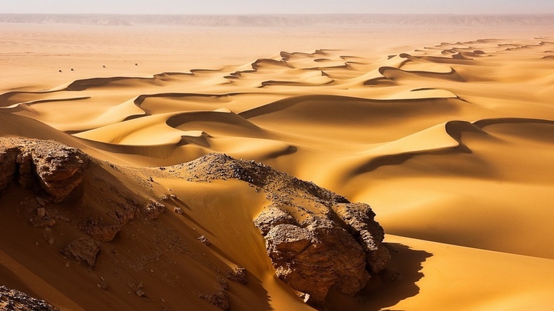 Sahara Desert-landscape photo wallpaper Wallpaper 1920x1200[10wallpaper.com]